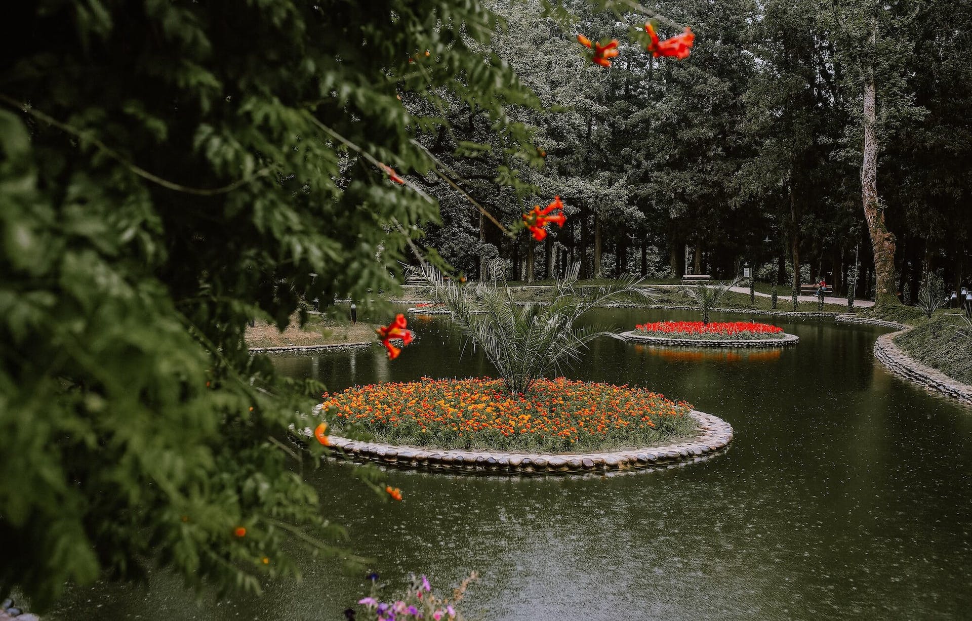 Zugdidi Botanical Garden European Route of Historic Gardens