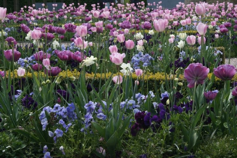 We celebrate the 1st European Day of Historic Gardens on April