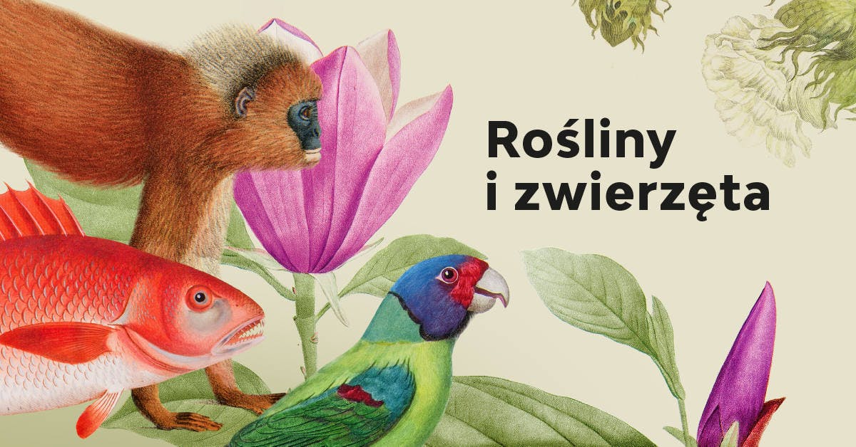 The ERHG patronizes the exhibition ‘Plants and animals. Atlases of natural history in the age of Linnaeus’ at the Museum of King Jan III’s Palace at Wilanów from May 7th