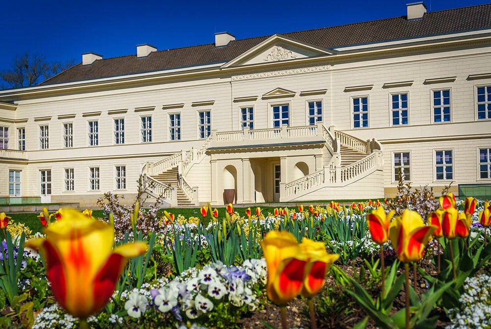 Hannover is looking for a Head of the Herrenhausen Garden