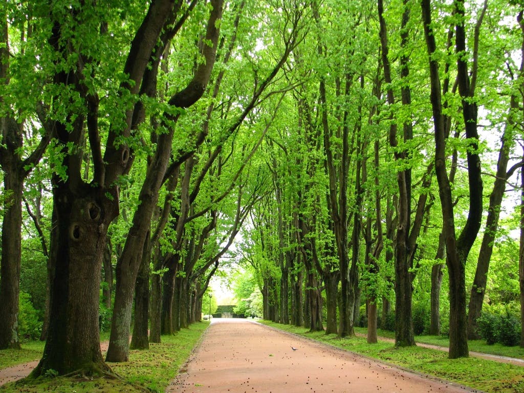 Natural environment