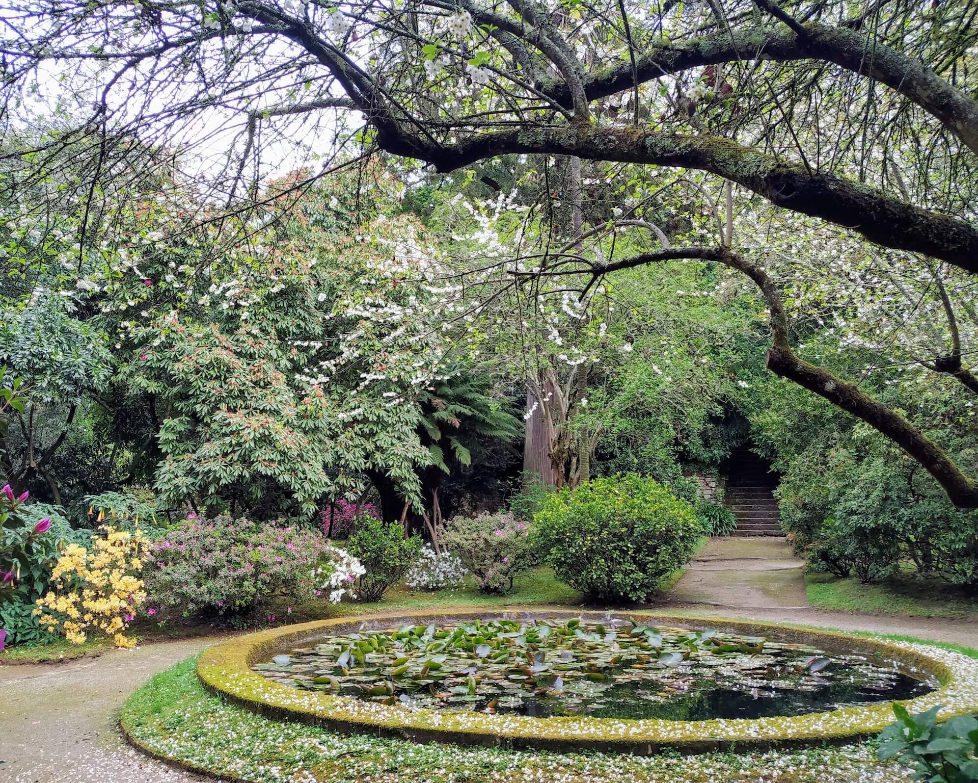 Pazo de Santa Cruz de Rivadulla European Route of Historic Gardens