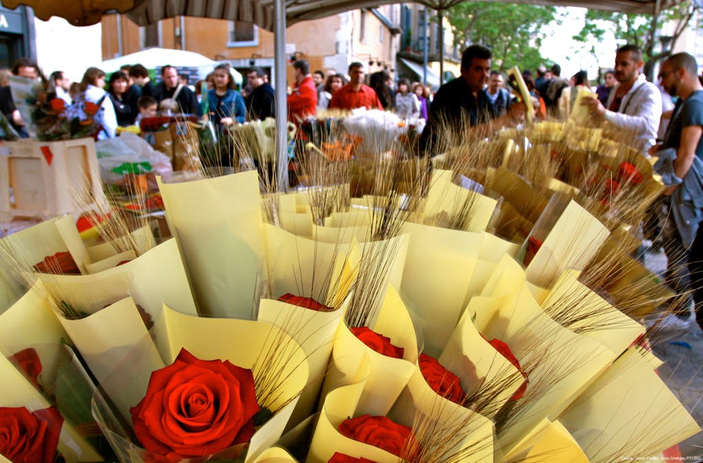 Gaudint de la diada de Sant Jordi a Girona