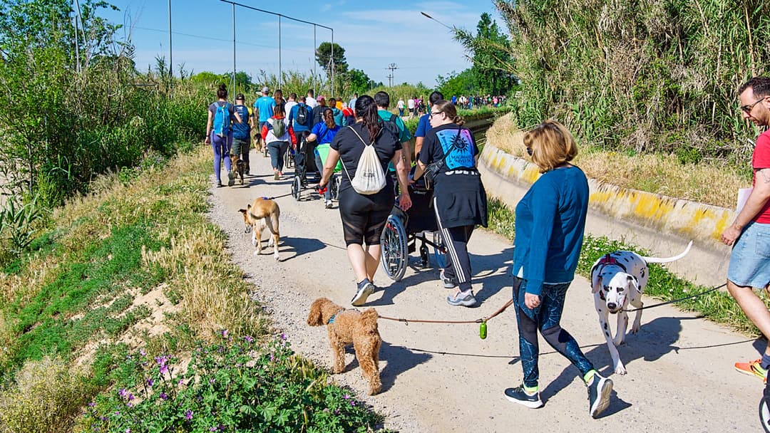 IV Caminada amb mascotes de Lleida