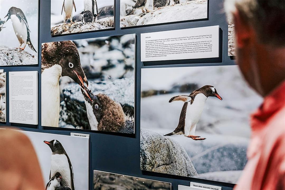 Foto-museo interactivo de la Antártida con realidad virtual