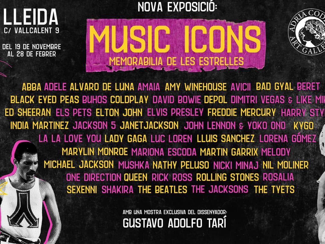 MUSIC ICONS - Memorabilia de les estrelles