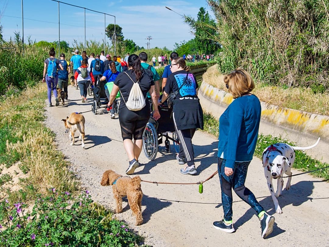 IV Caminada amb mascotes de Lleida