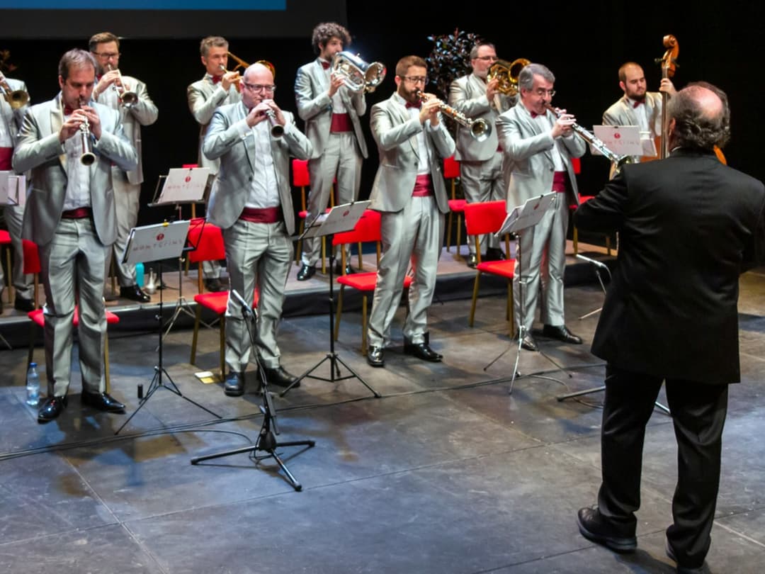 CONCERT COBLA MONTGRINS