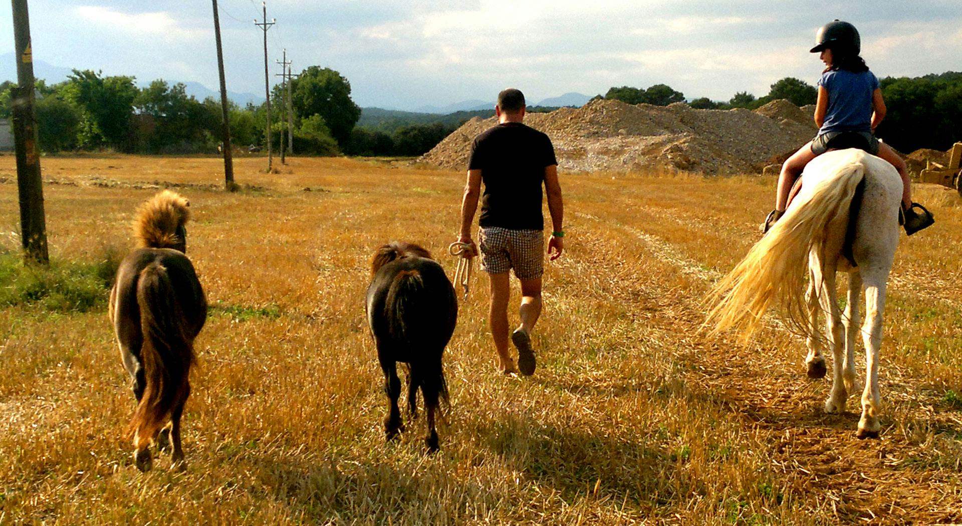 Passejades a Cavall