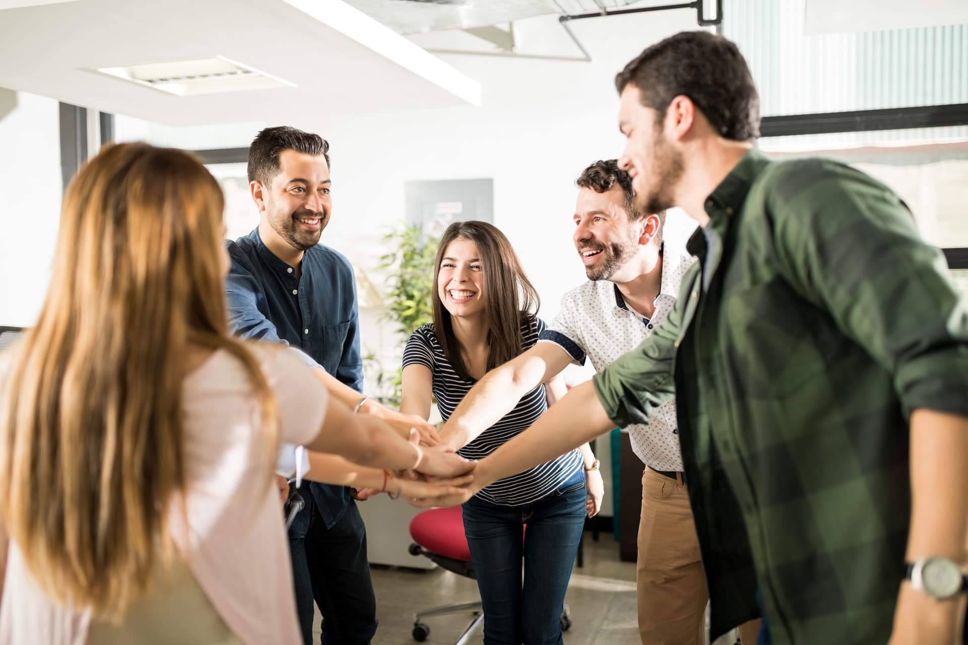 Empatía laboral y la habilidad de construir un entorno de trabajo saludable