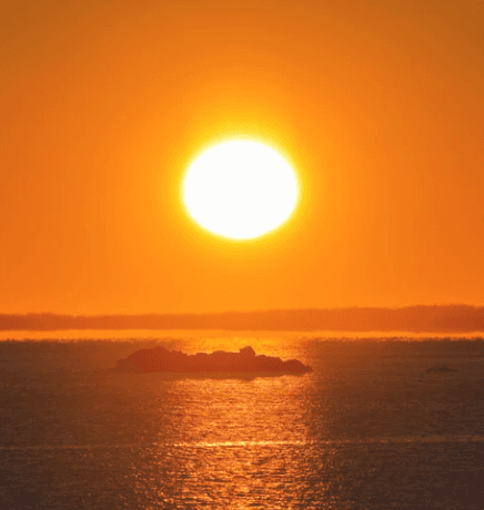 Solsticio de verano: 108 Surya Namaskar