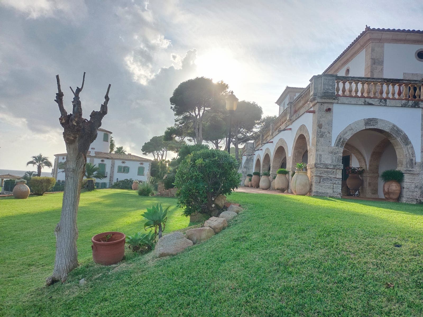 Mantenimiento de jardín y espacio