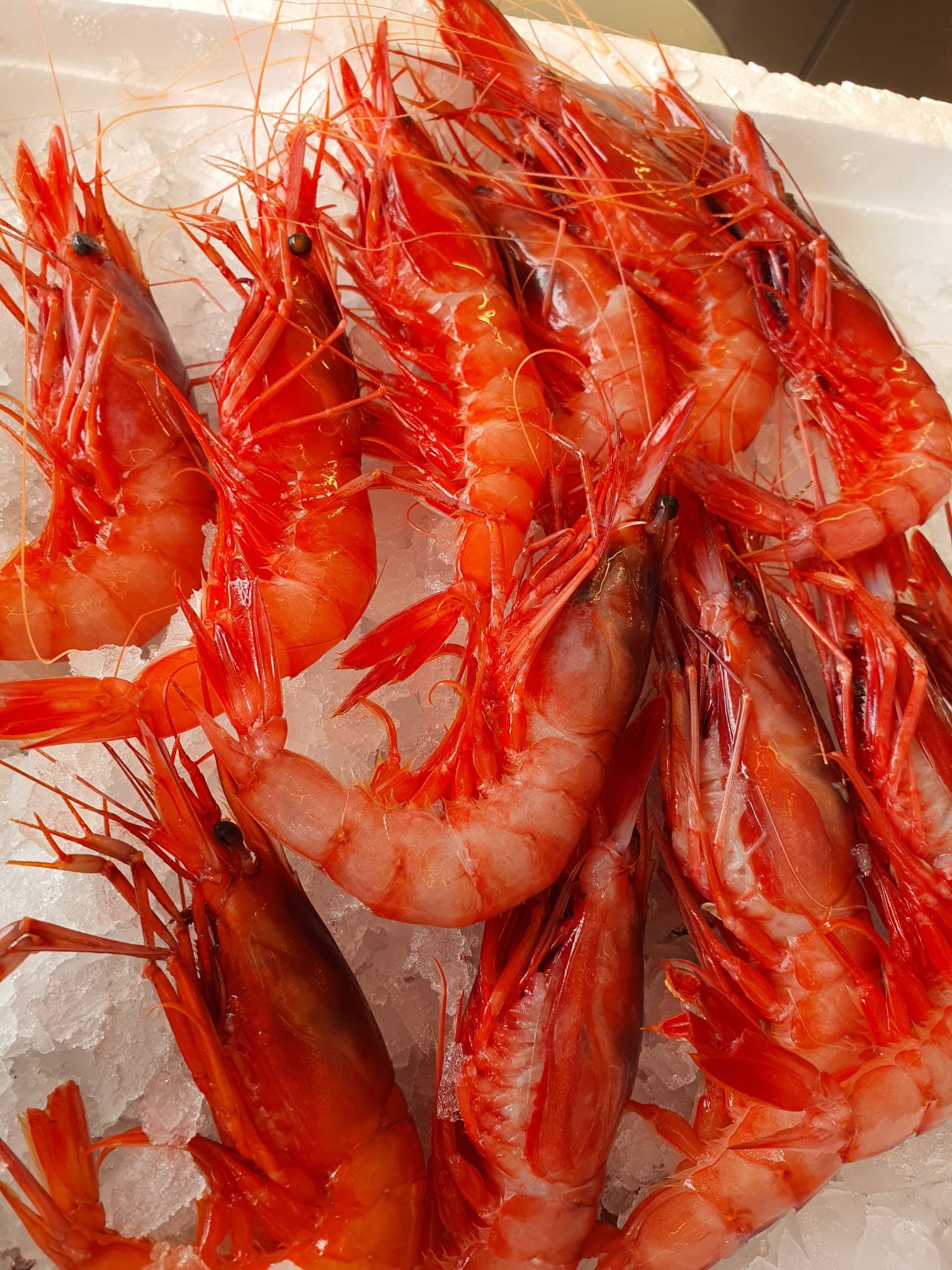 Cuina marinera autèntica i fresca