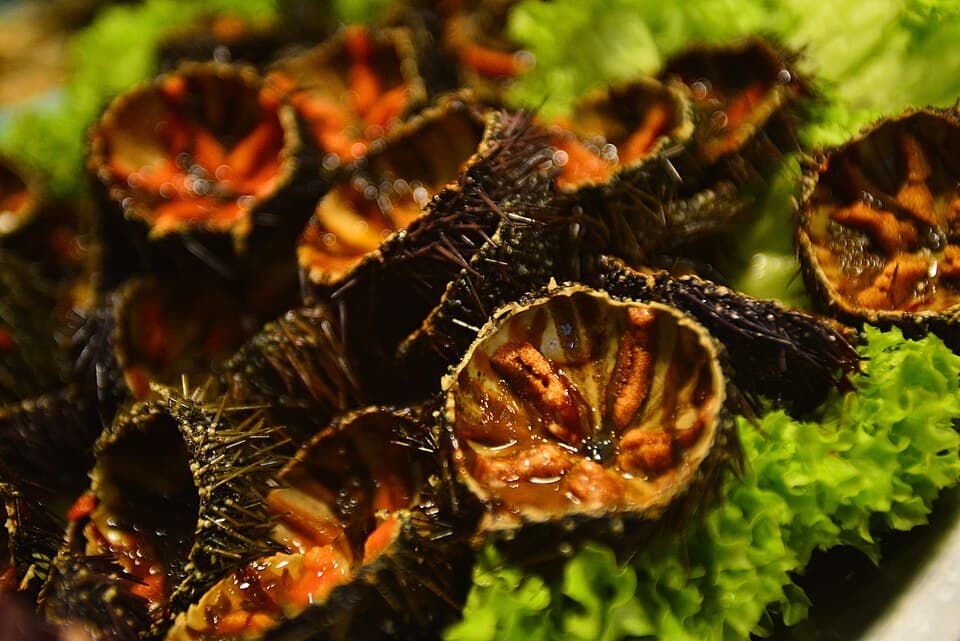 Reabrimos el 16 de enero y damos el pistoletazo de salida a la Garoinada 2026