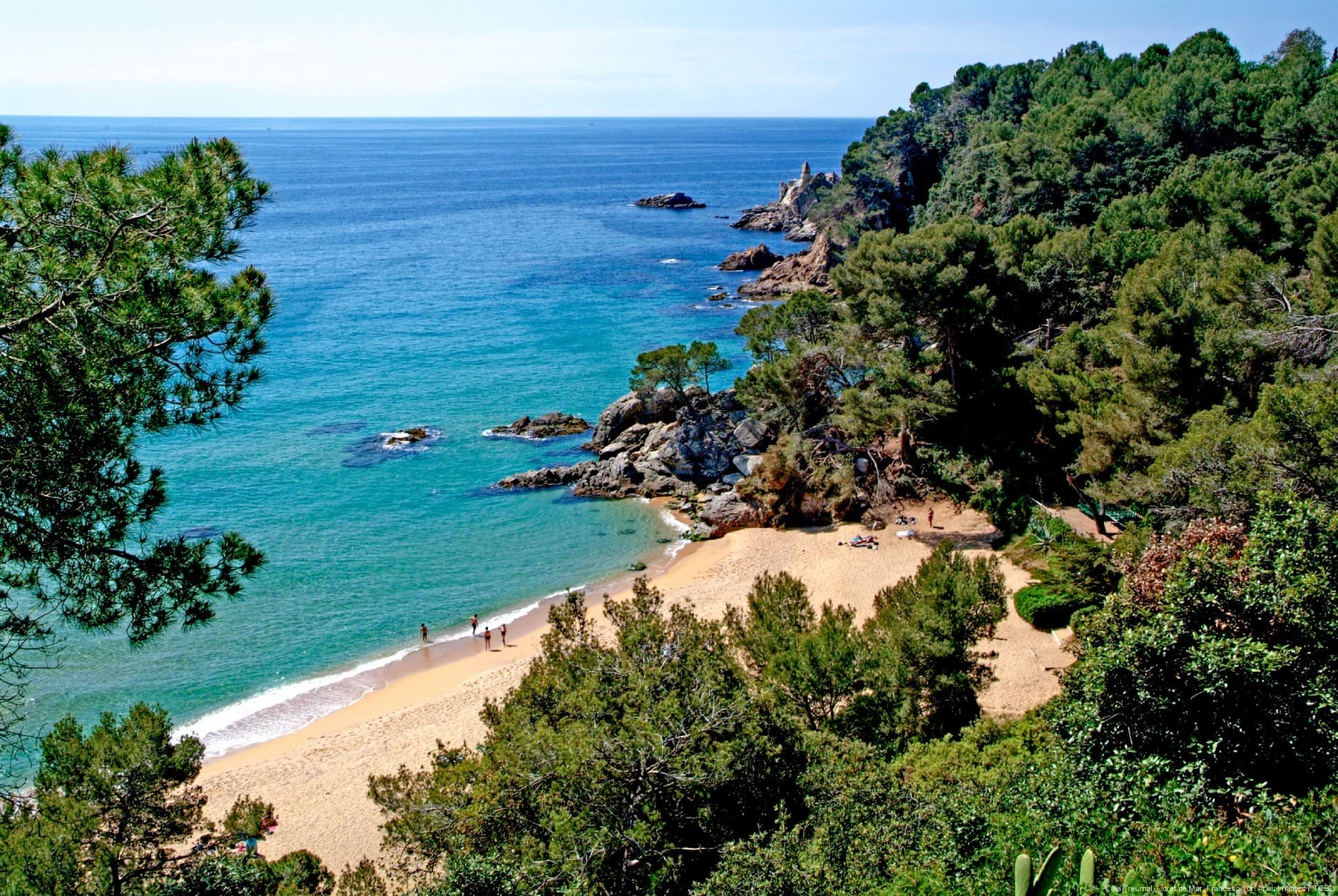 8 hidden coves on the Costa Brava near Lloret de Mar worth discovering
