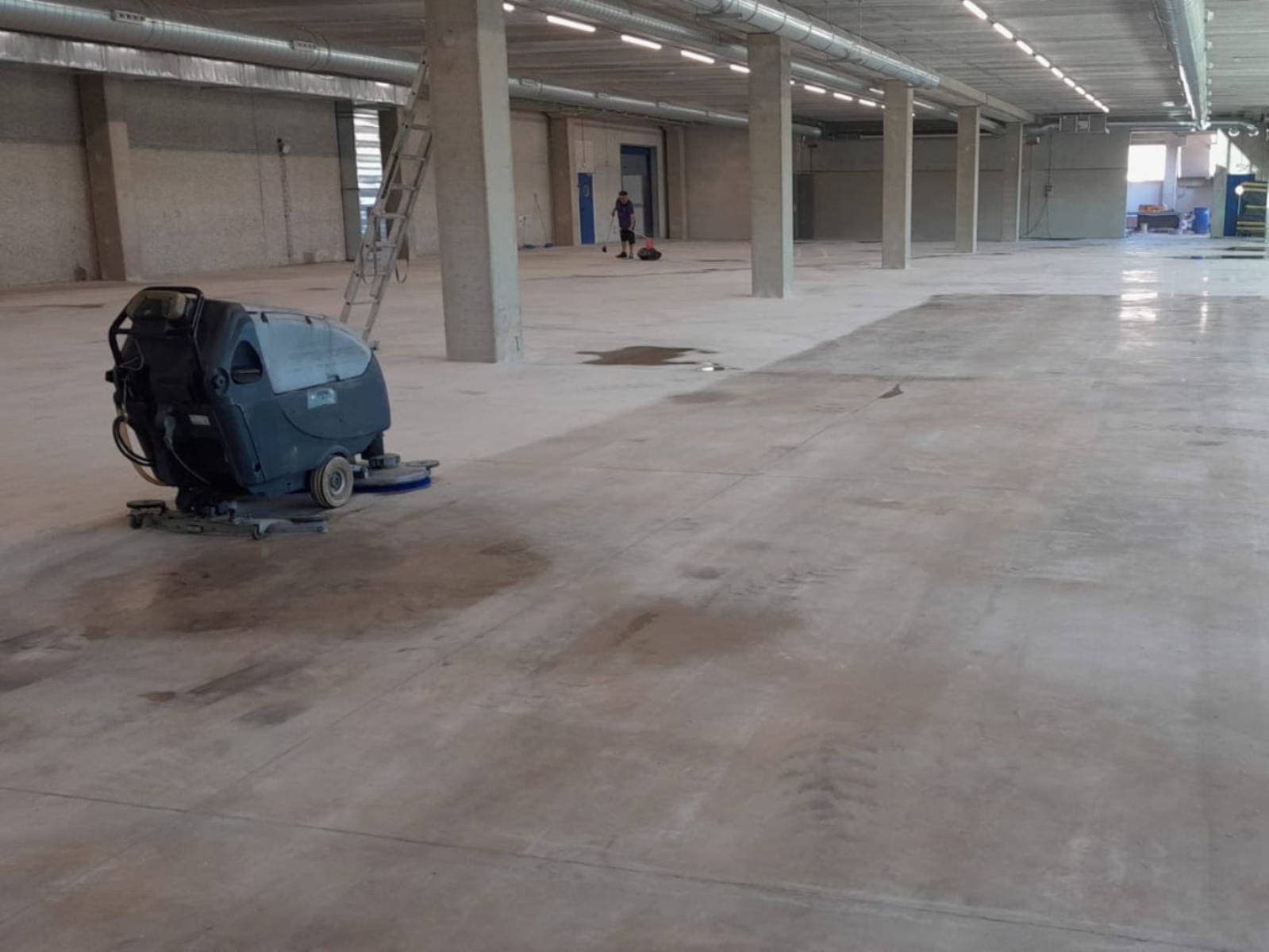 Neteges puntuals i recurrents