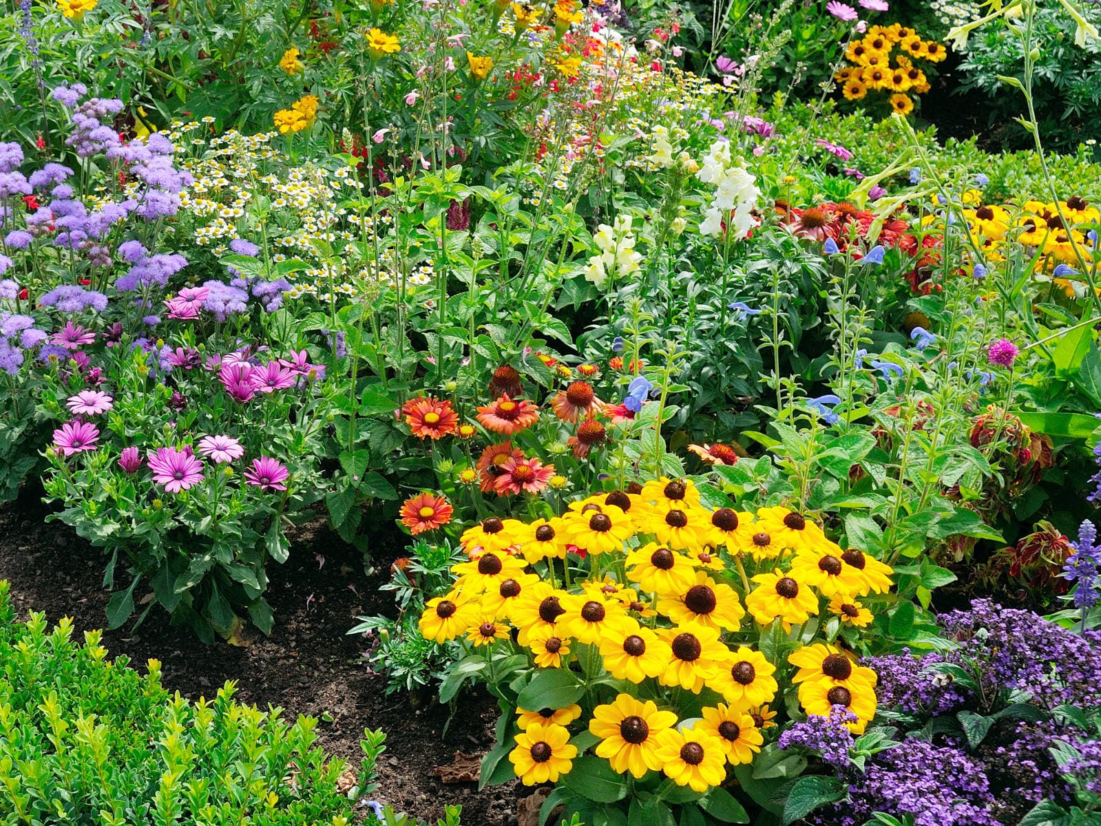 Manteniment de Jardins i Zones Verdes