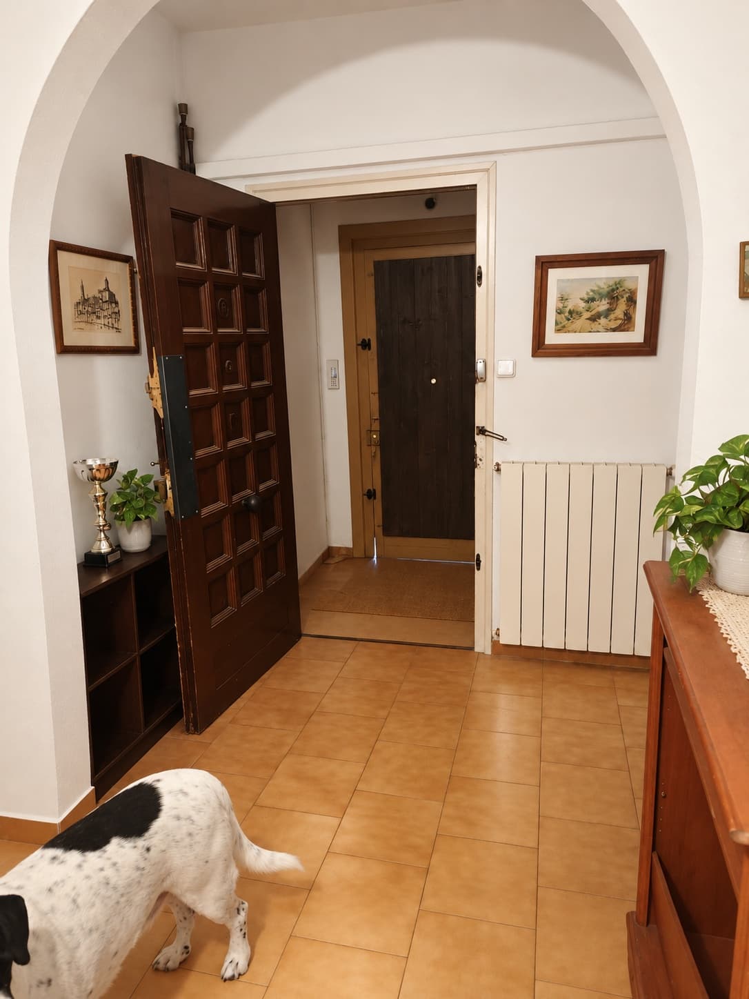 Una casa con alma en el corazón de Figueres - Image 15 - view mobile | af94a167-a87f-4eb3-80fd-bb5aef32497d.jpg