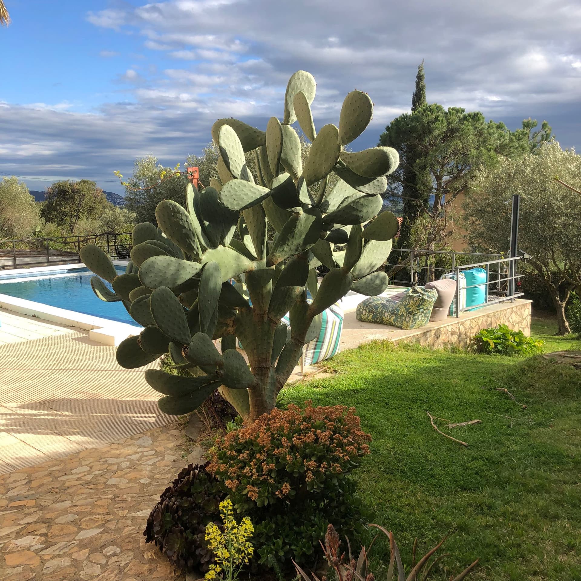 House with a private pool and spectacular views in Pau - Image 11 - view mobile | img-20251016-wa0026---copia--2-.jpg