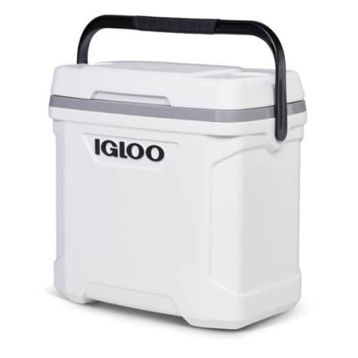 Img of Nevera de Hielo Igloo 31 Litros